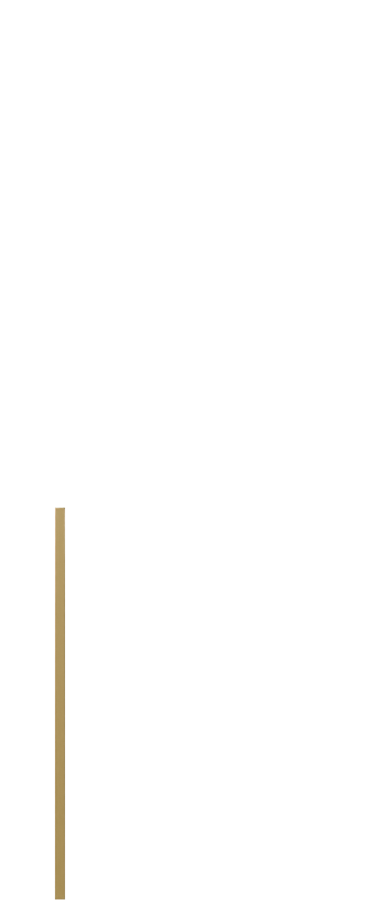products_img/TM/m2.png