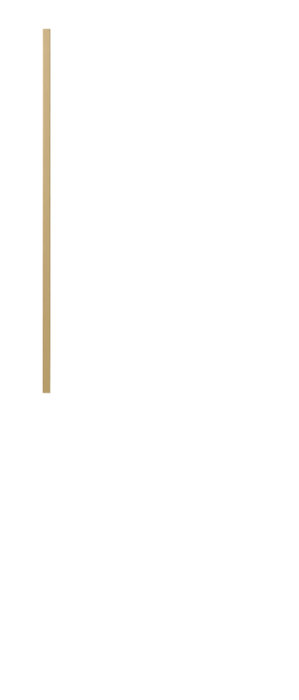products_img/TM/m3.png