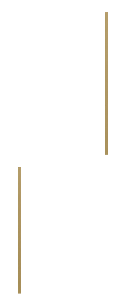 products_img/TM/m4.png