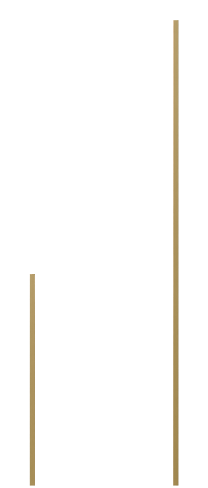 products_img/TM/m5.png