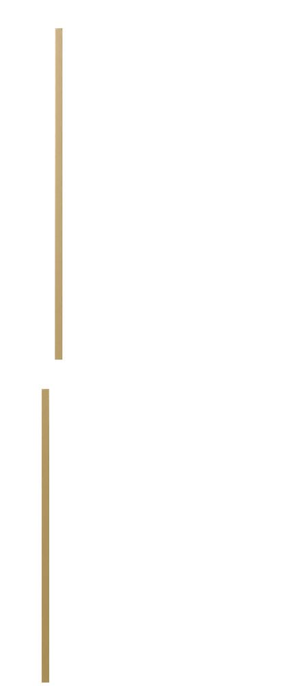 products_img/TM/m7.png